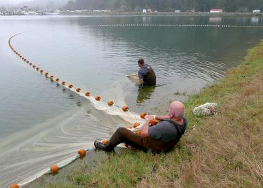 umpqua_bait_employees_craig_hedgepeth_and_derick_hoile_gather_the_sein_net_in_the_west_basin_winchester_bay_douglas_co.jpg