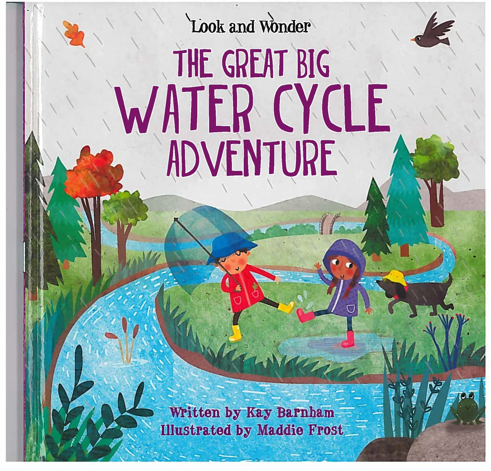 water cycle adventure book cover