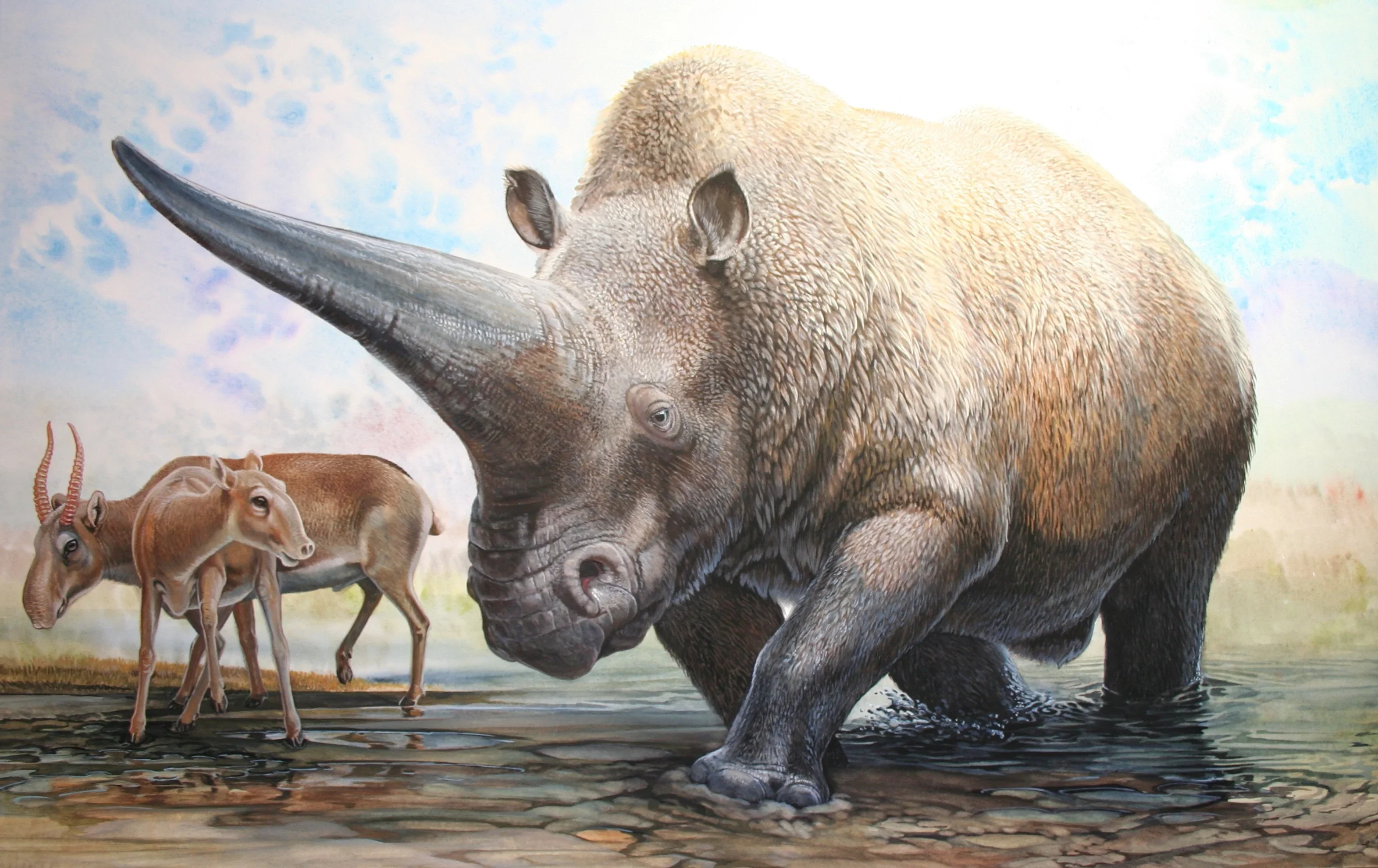 Painting of Elasmotherium and some small deer. Elasmotherium is a large horned rhino.