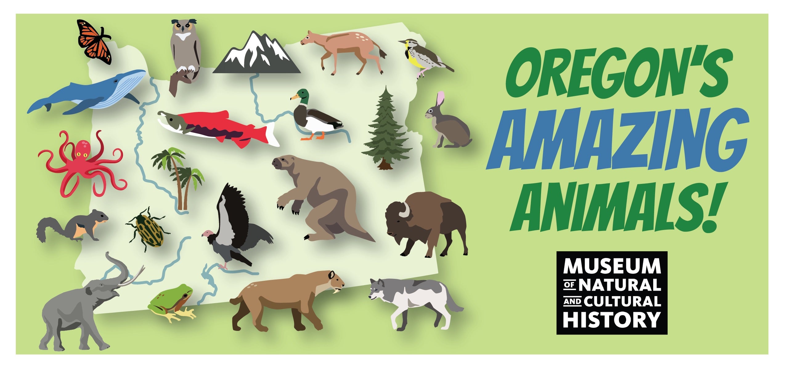 Amazing Animals Art ENGLISH.jpg