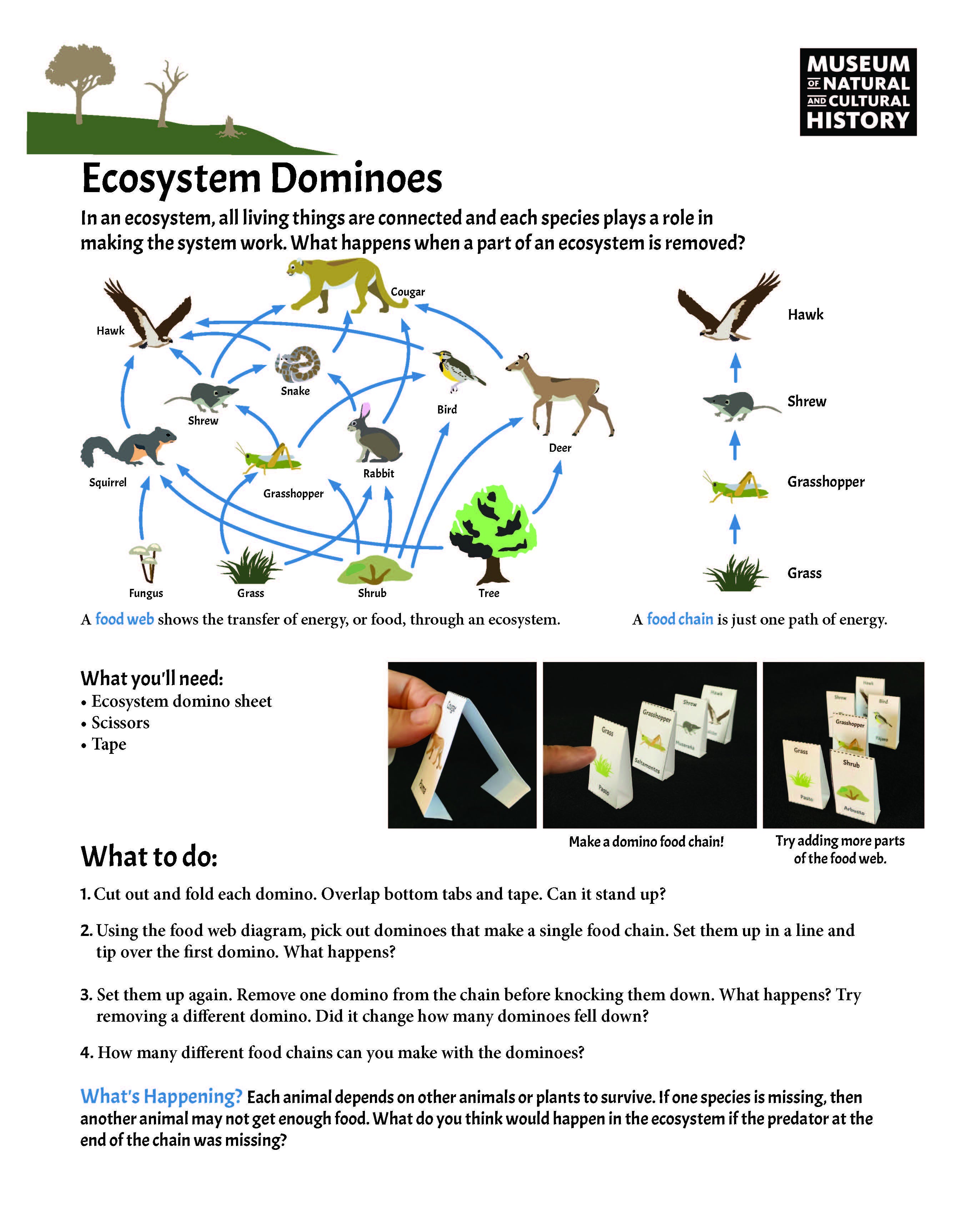 Amazing Animals_FULL KIT_ENGLISH_Page_4.jpg