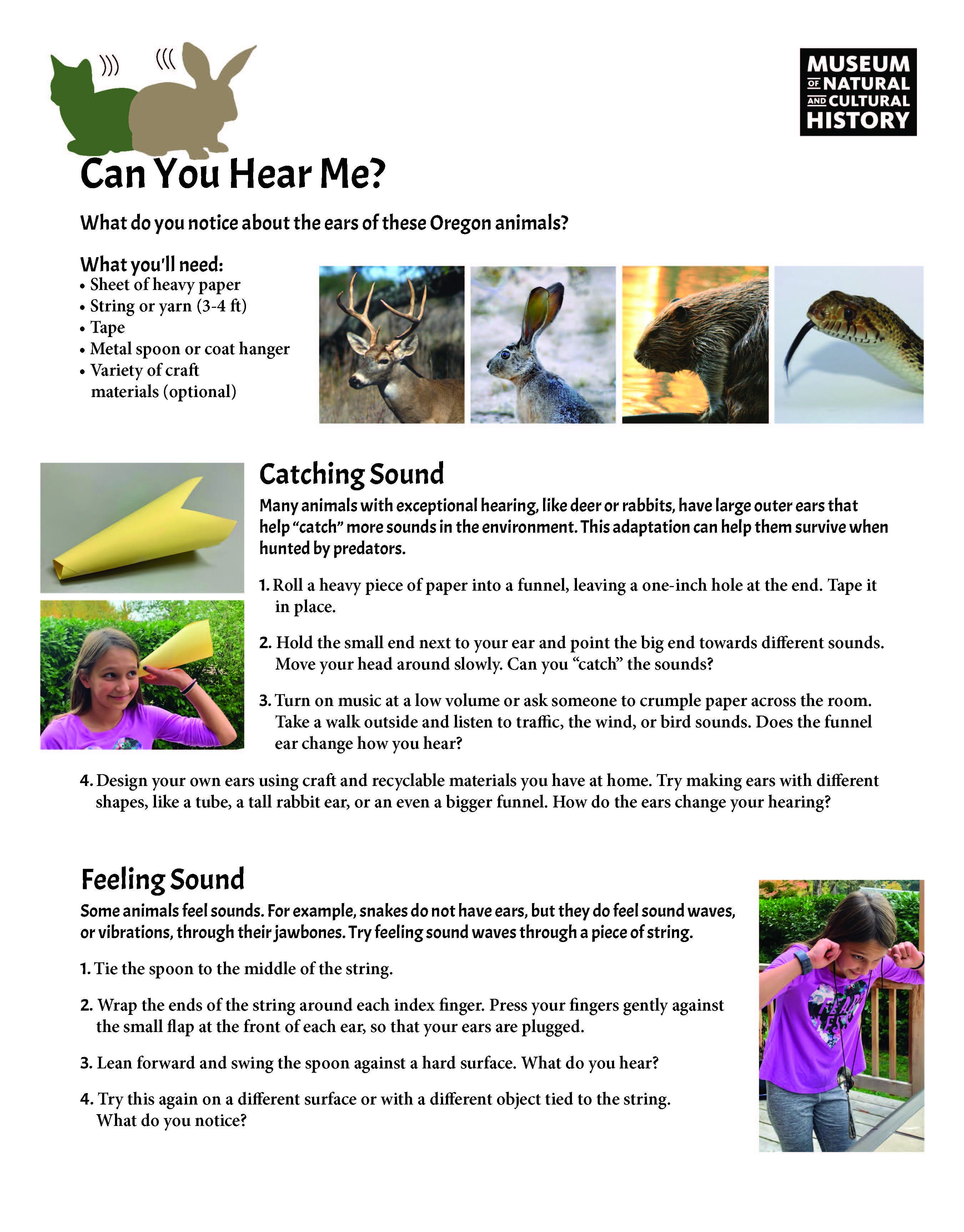Amazing Animals_FULL KIT_ENGLISH_Page_5.jpg