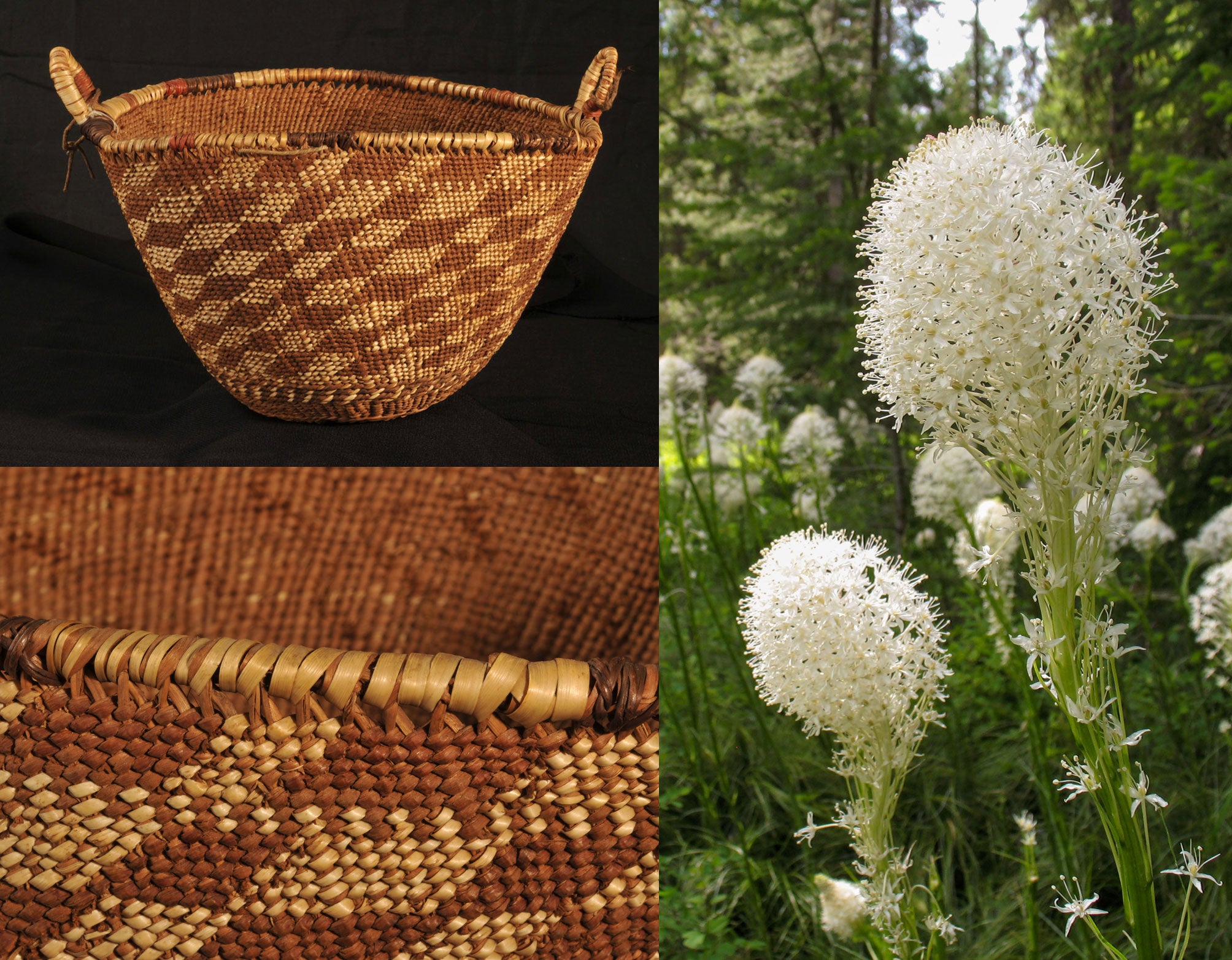 Bear grass and twined basket_0.jpg