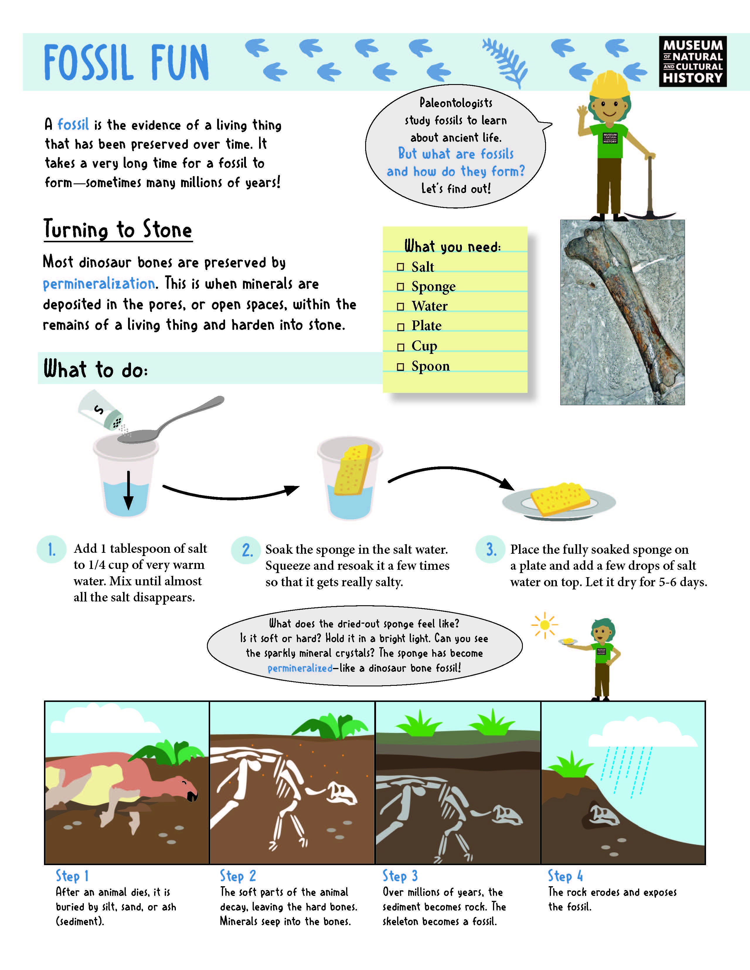 DinoStory_FULL KIT_ENGLISH_Page_4.jpg
