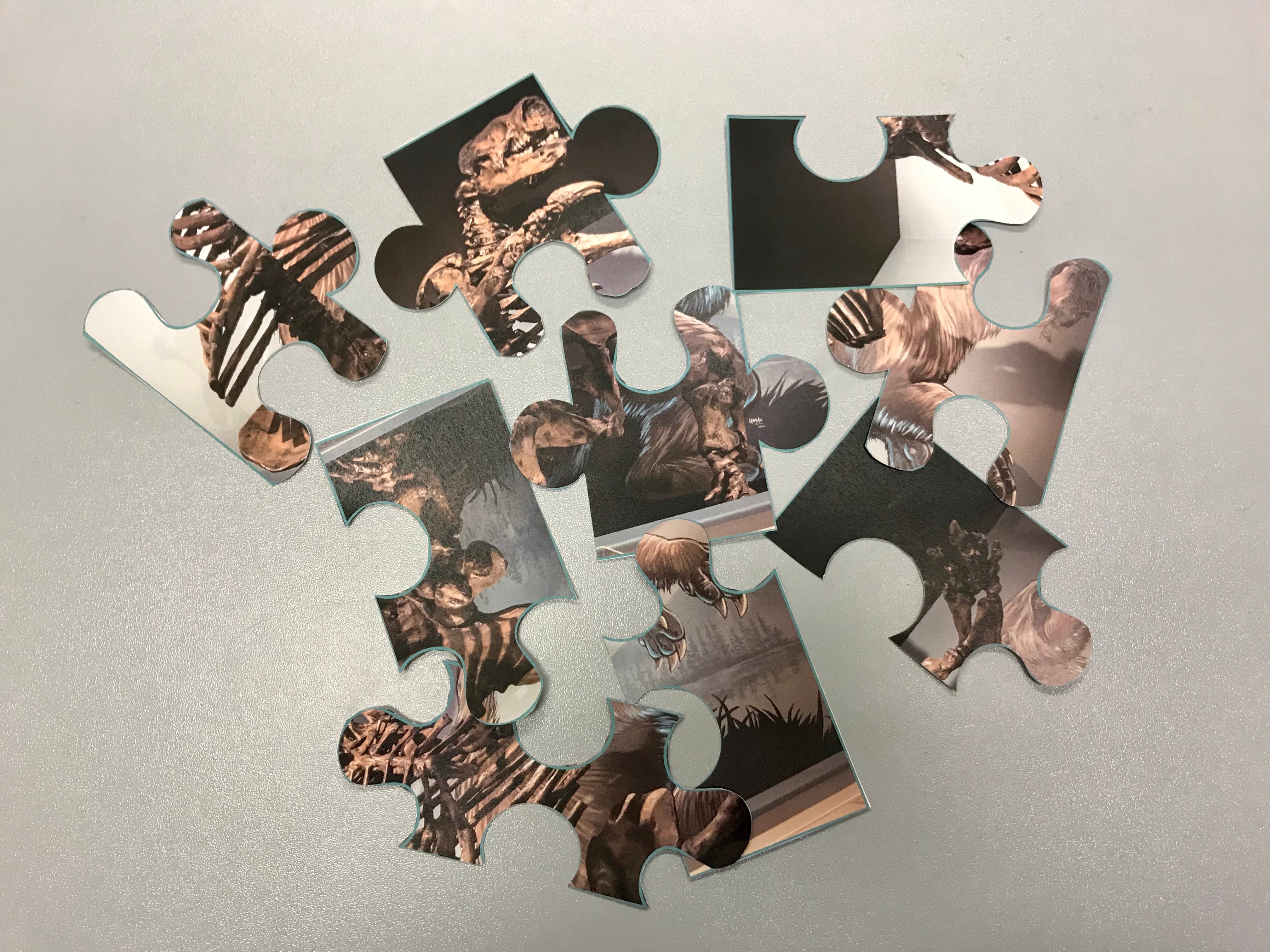 Fossil Puzzle 2.jpg
