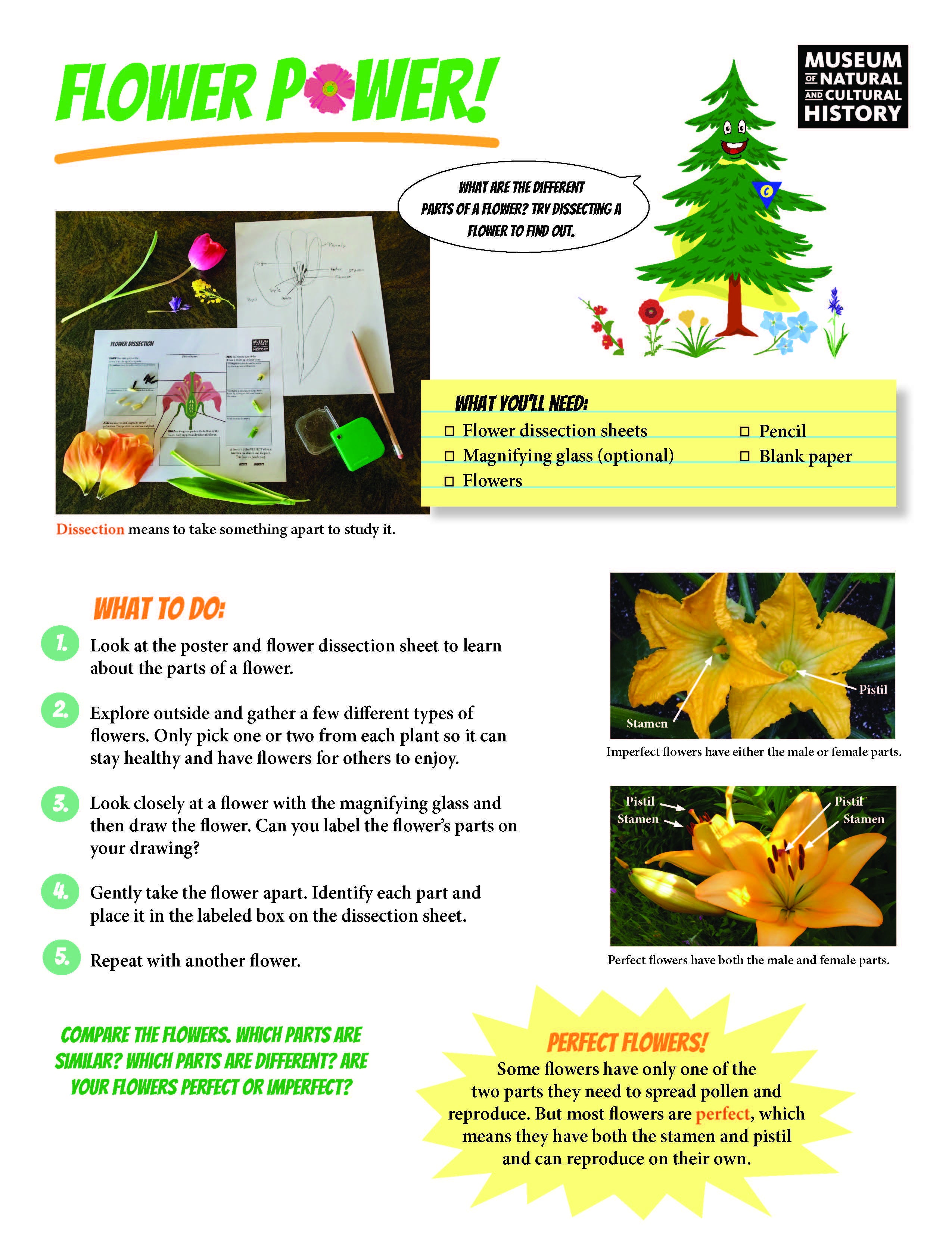 Power of Plants_FULL KIT_ENGLISH_Page_4.jpg
