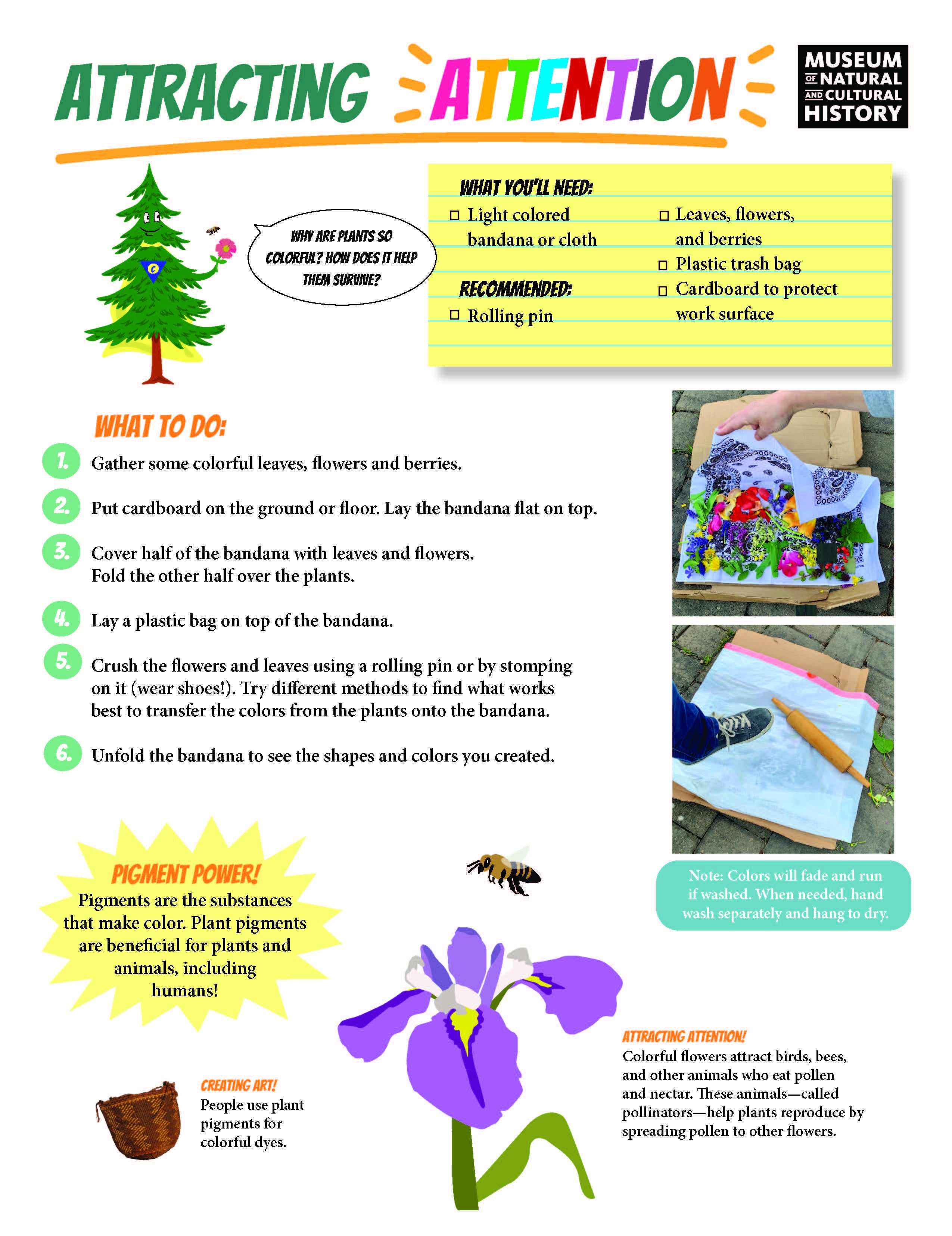 Power of Plants_FULL KIT_ENGLISH_Page_5.jpg