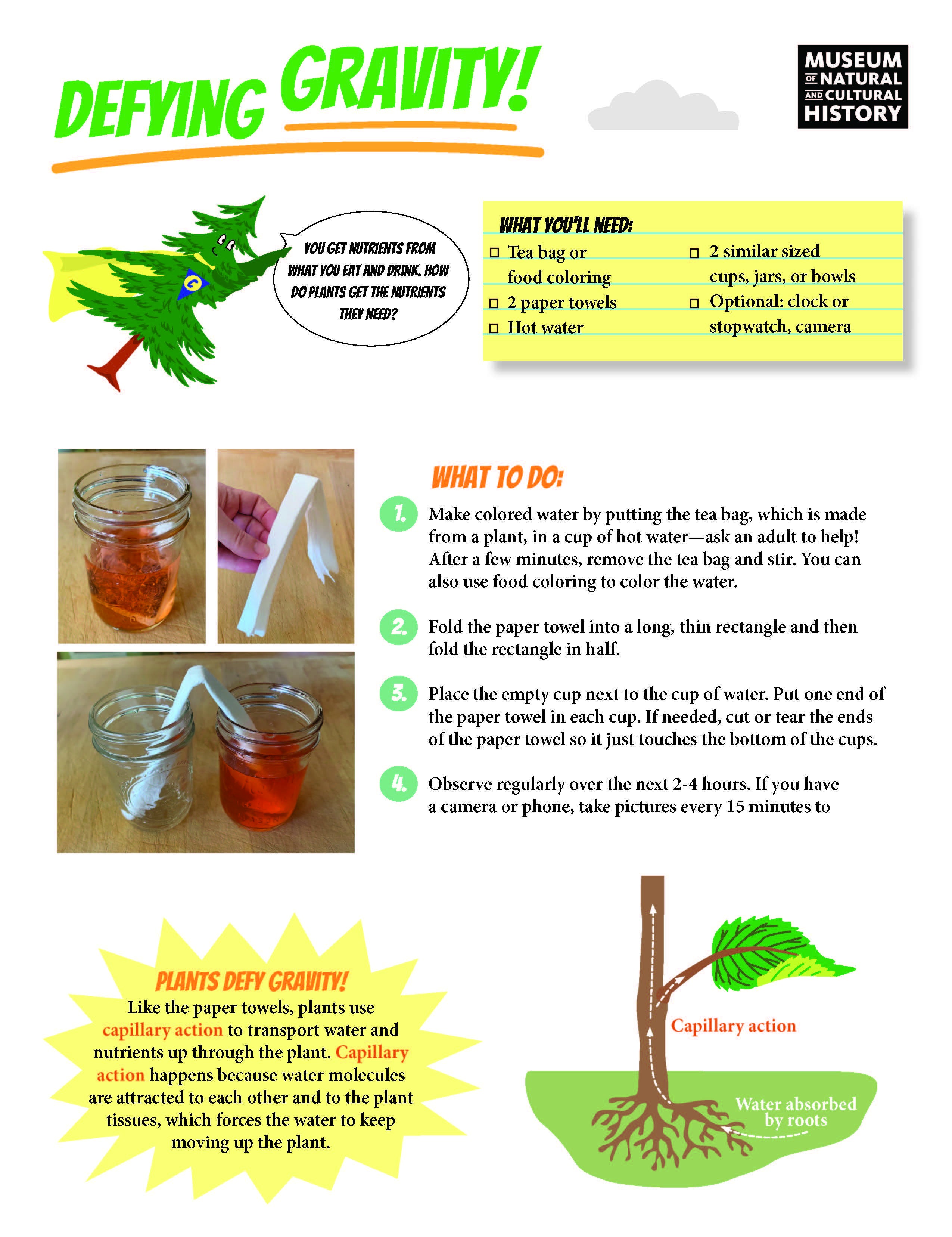 Power of Plants_FULL KIT_ENGLISH_Page_6.jpg