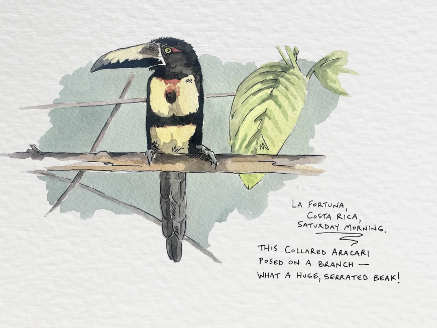 A card with a painting of a bird