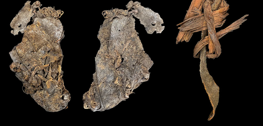 a crumpled piece of hide