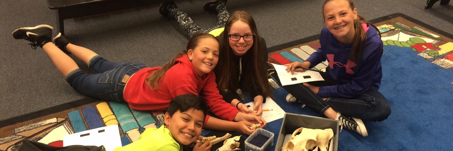 Classroom Outreach Skulls