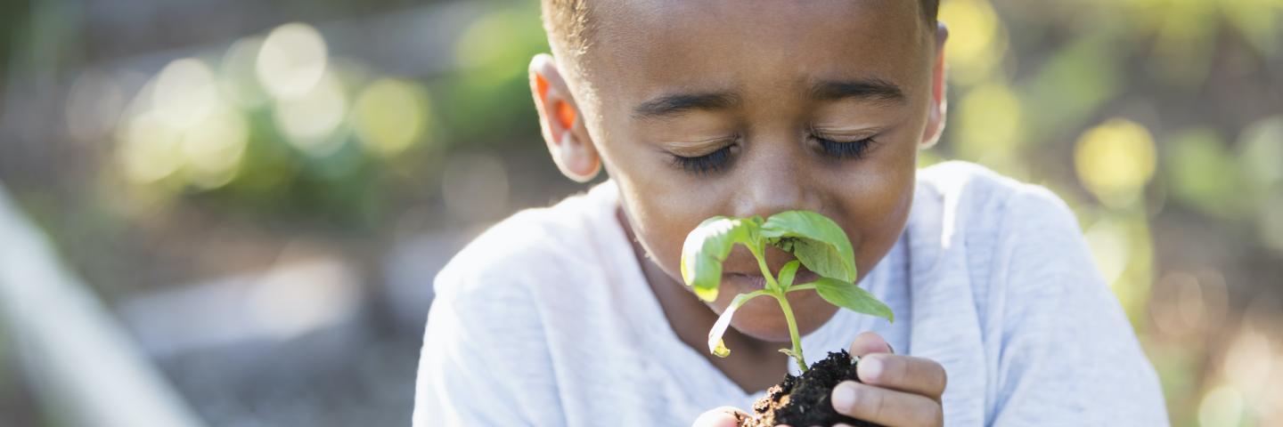 A child holds a plant in his hands and smells it