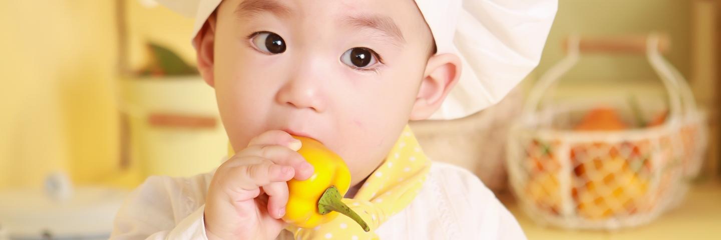Small child dressed as a chef, eating a pepper
