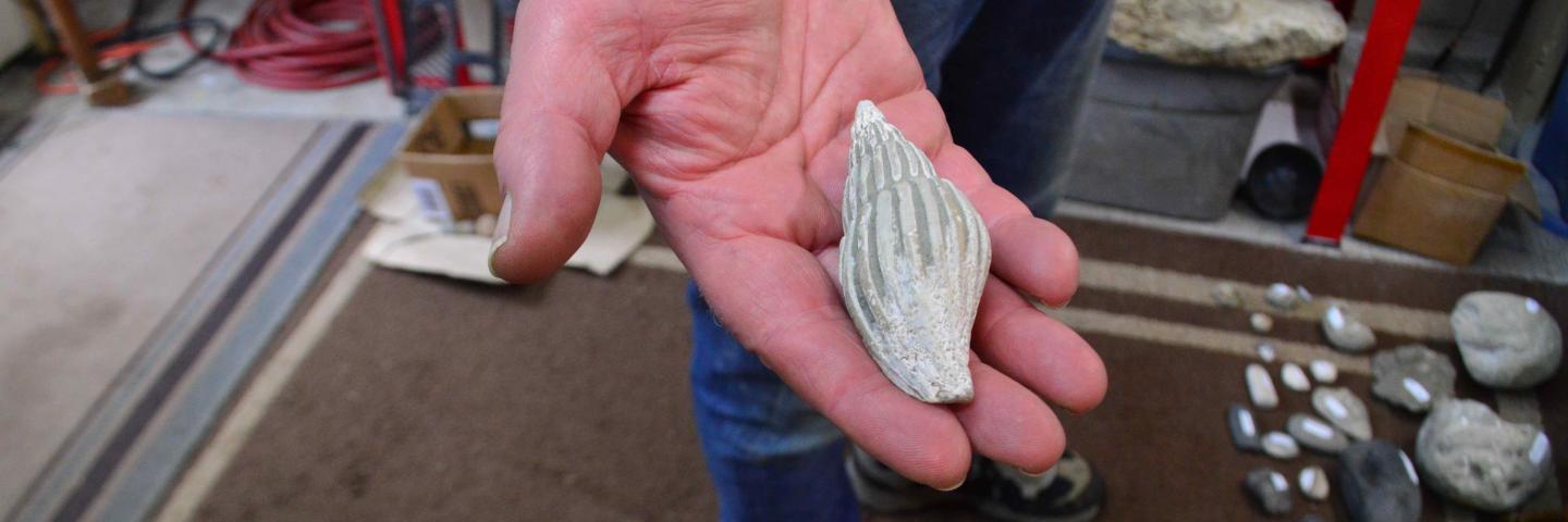 fossil shell in Kent Gibson's hand