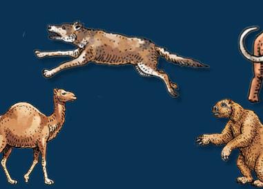 A blue background with illustrations of ice age giant animals