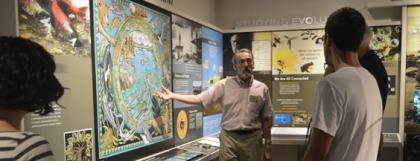 Volunteering at the MNCH