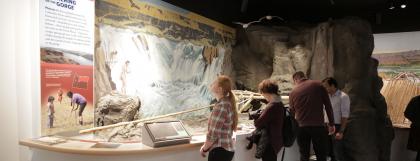 Guests viewing an exhibit at the University of Oregon Museum of Natural and Cultural history