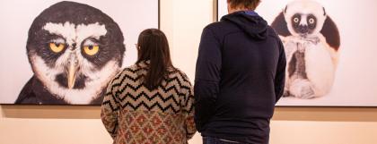 Two visitors gaze at large-format pictures of an owl and lemur. The owl looks unamused and the lemur looks cheerfully attentive. Both animals have wide yellow eyes.