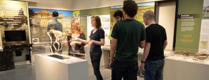 UO students looking at an animal skeleton in the exhibit hall.