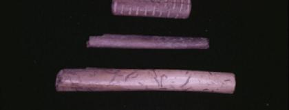 Bone Tubes