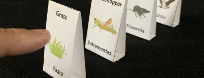 Adaptation explained using a domino activity