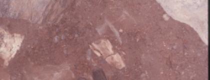 Excavation of Pleistocene Bones