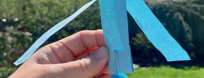 A helicopter seed activity