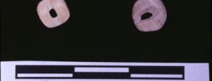 Olivella Grooved Rectangle Beads