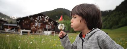 A child blowing on a dandelion