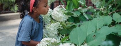 A child smelling a flower