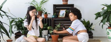 Children examining leaves under magnifying glasses