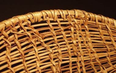 Fish Scoop Detail