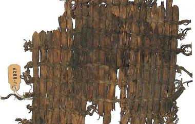 Open simple twine basketry fragment