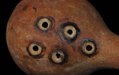 Mouth Organ detail