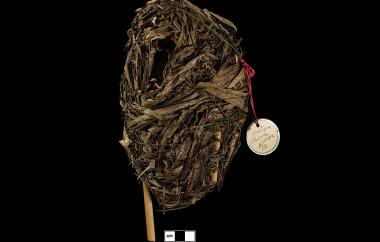 Marsh Wren nest