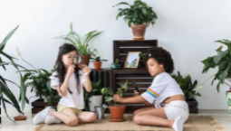 Two small girls, one Black and one Asian, play in a living room surrounded by plants.