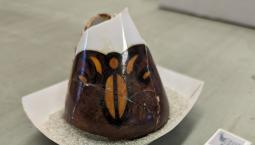 Broken brown, orange, and white vase