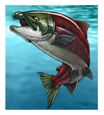 Cartoon illustration of a giant spike-tooth salmon