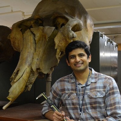 Advait Jukar and a fossil elephant