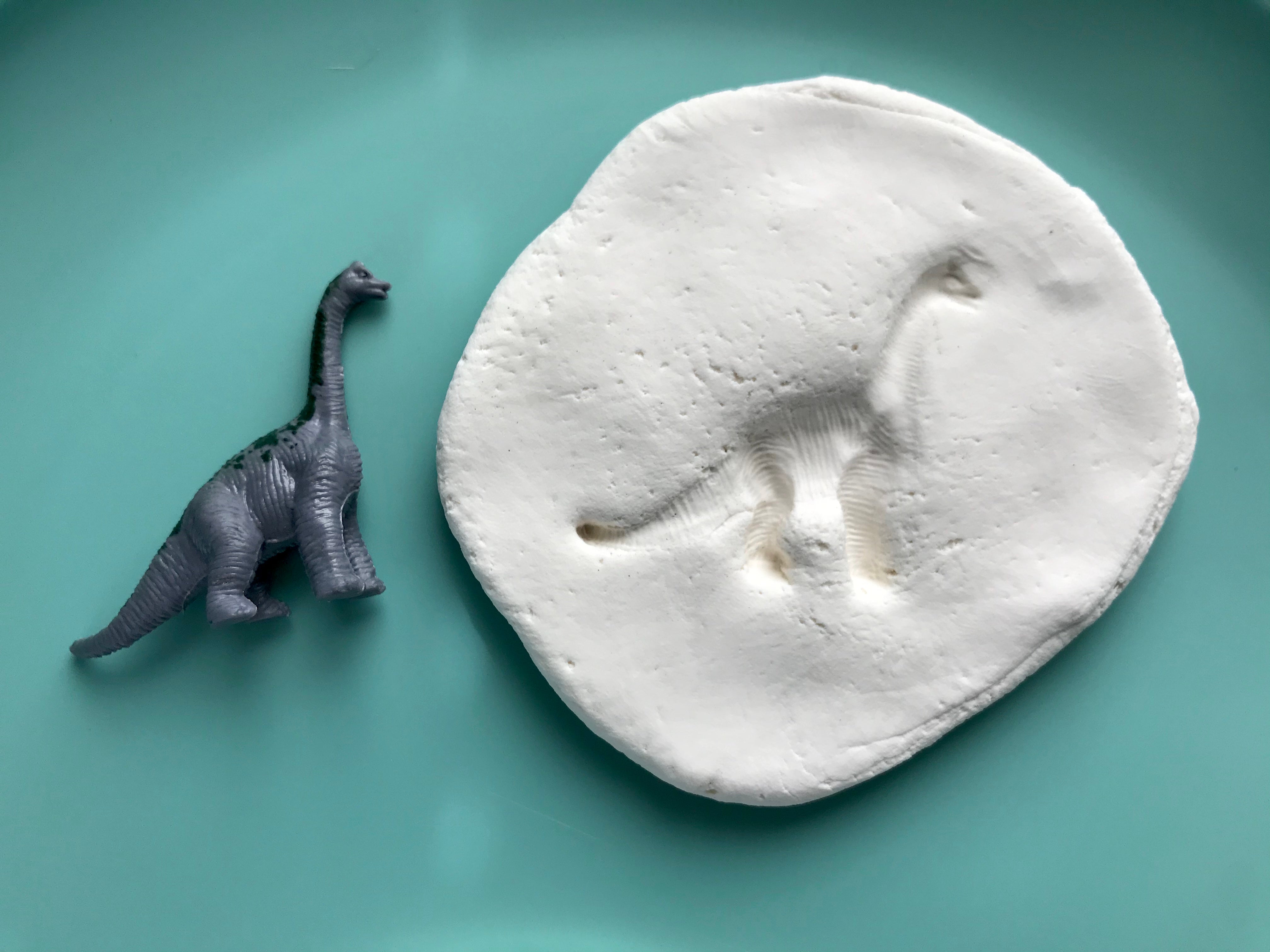 A small dinosaur toy and a piece of clay in which the toy has been pressed to create an impression.