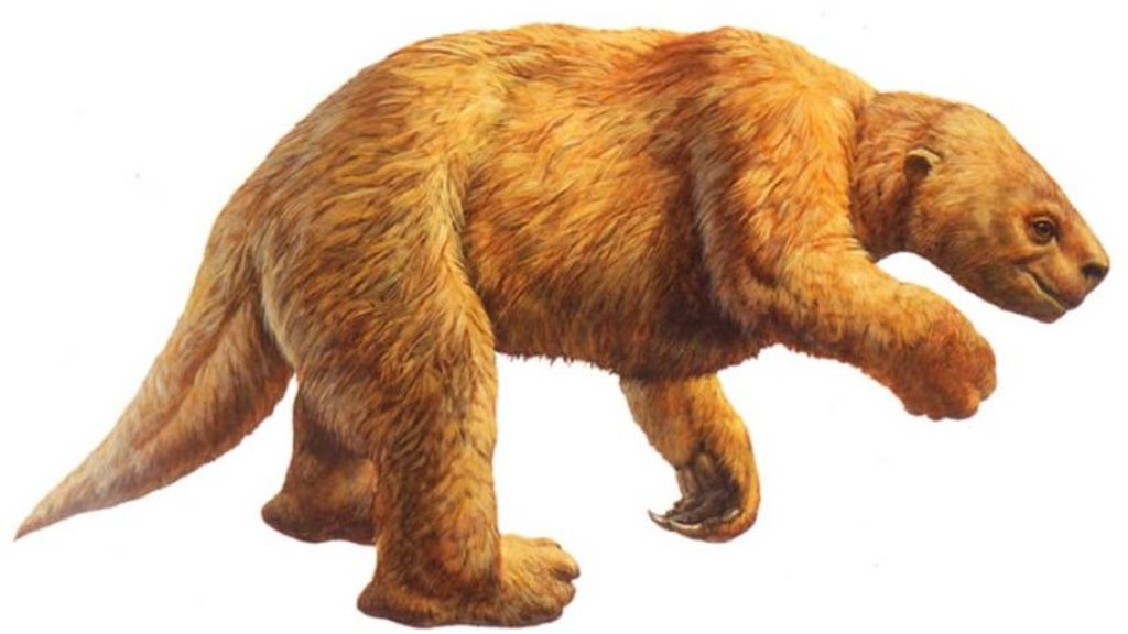 Harlan's Ground Sloth 