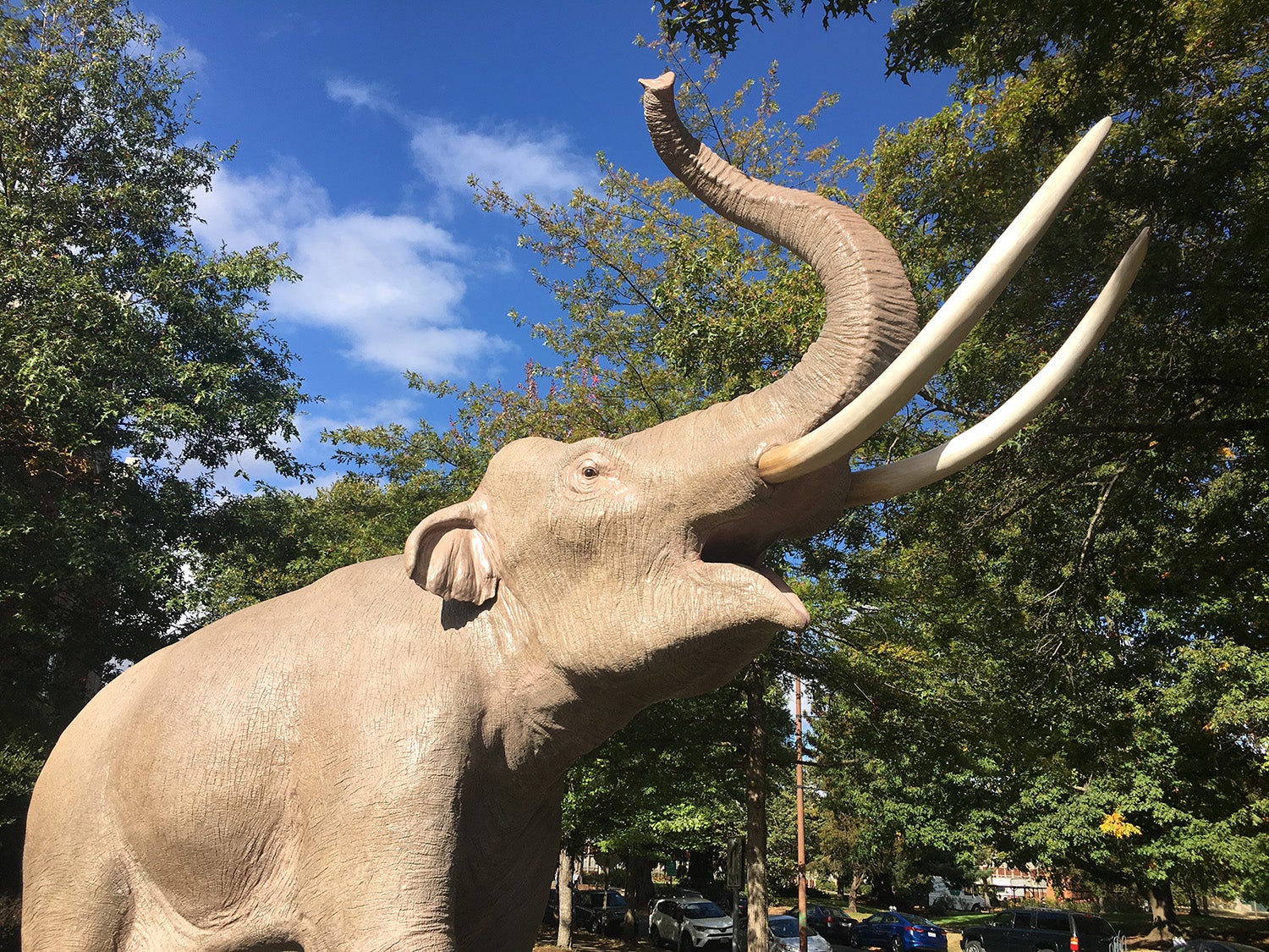 The museum's Columbian mammoth sculpture