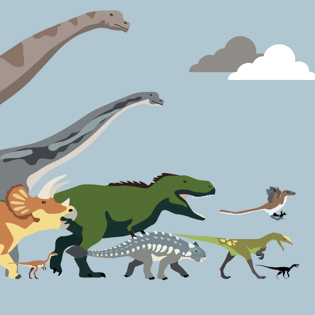 Several cartoon dinosaurs, including raptors and sauropods, walk across the screen. One is flying. 