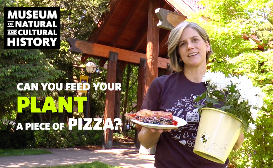 A person holding a plant and a piece of pizza