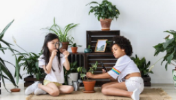 Two small girls, one Black and one Asian, play in a living room surrounded by plants. 