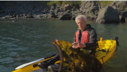 White haired researcher holds kelp in a kayak