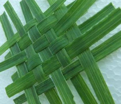 woven grass