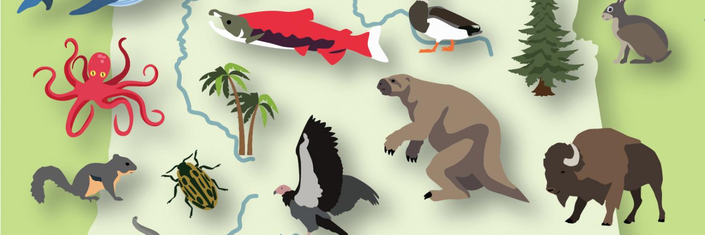 Animal illustrations over an Oregon shape