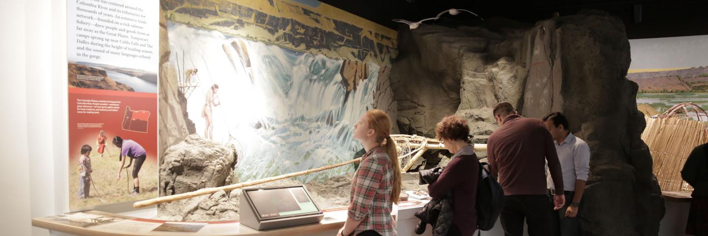 Guests viewing an exhibit at the University of Oregon Museum of Natural and Cultural history