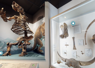 Explore Oregon virtual exhibit; showing Ice Age fossils on display, including Harlan's ground sloth